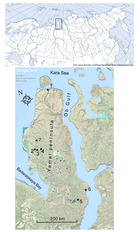 Yamal Peninsula Map