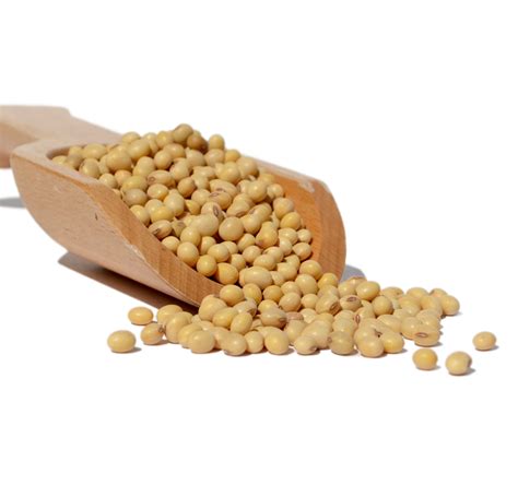 Soya Bean Oil Suppliers in Perth | Range Products