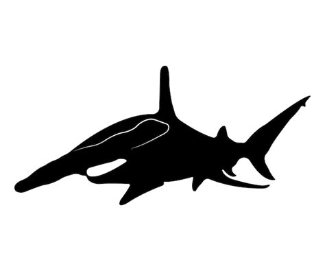 Premium Vector | Vector flat hammerhead shark silhouette isolated on white background