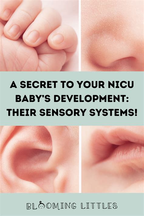 A secret to your baby s development their sensory systems – Artofit