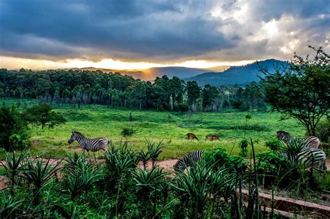 Wonders of eSwatini | Wondermondo