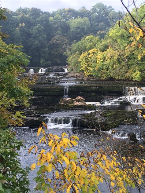 P1660369 Aysgarth Falls UK (40) | Aysgarth Falls, Aysgarth, … | Flickr