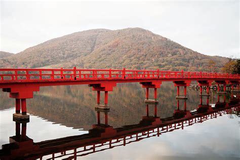 Japanese Bridge In Autumn by Ooyoo