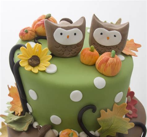 The Crimson Cake Blog: Twin Owl Fall Birthday Cake