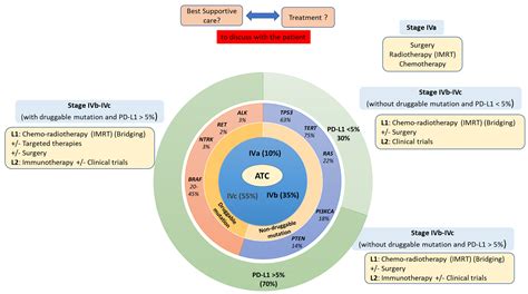 Cancers | Free Full-Text | Anaplastic Thyroid Carcinoma: An Update