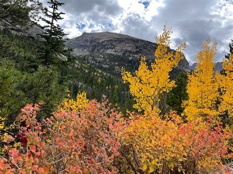 Beautiful Fall Colors in Rocky Mountain National Park - Etsy