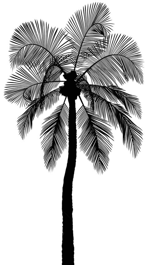 Palm Tree Silhouette Clip Art Illustration Clipart Vector, Clip Art ...