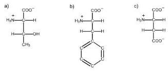 For each of the amino acids shown, select the chiral center(s). If ...