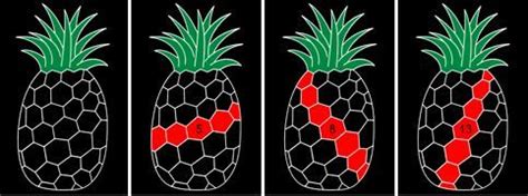 Fibonacci in pineapples :) This is how I found out I was allergic to pineapple plants was ...