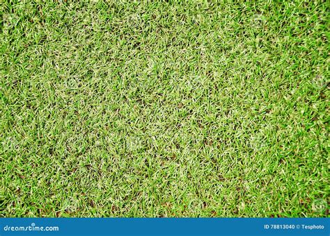 Stadium. Grass. Football Field. Stock Photo - Image of sprinting ...