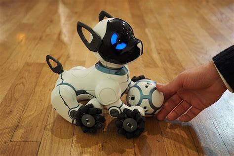 Is a robotic dog as good as the real thing? - Genetic Literacy Project