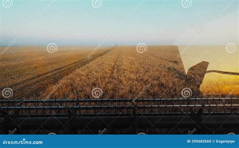 Harvesters for Harvesting Grain while Working. View from the Combine ...