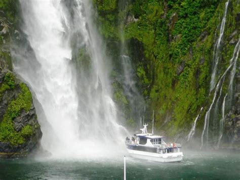 The Memorable Sights of a Milford Sound Cruise - Princess Cruises