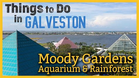 Moody Gardens In Galveston Texas | Fasci Garden