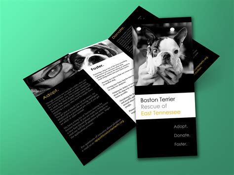 Z Fold Brochure Design on Behance