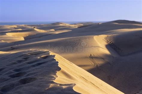 Golden Hour at Maspalomas Dunes Stock Photo - Image of tropical, summer ...