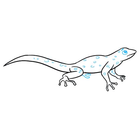 How to Draw a Lizard - Really Easy Drawing Tutorial