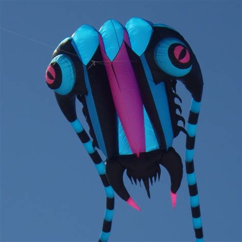 Cool Kites - An Intriguing Gallery!