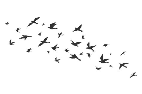 Flying bird. Free birds flock in flight black silhouettes. Tattoo imag ...