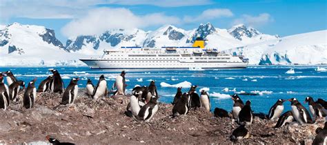 Top Antarctica Tours | Flexible Antarctica Cruises, Trips & Flights