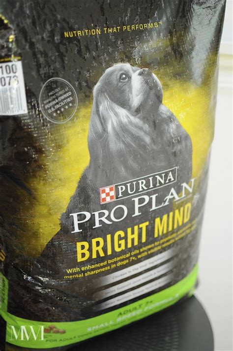 Purina Pro Plan Bright Mind Review: Part 1 | Monica Wants It