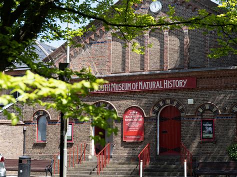 Booth Museum of Natural History - Brighton & Hove Museums