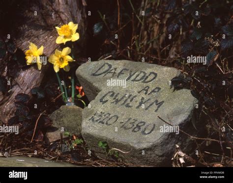 Dafydd ap Gwilym memorial stone Welsh medieval 14th century poet with ...