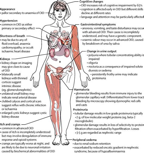 Chronic Kidney Disease - The Lancet