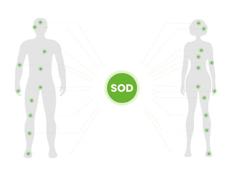 Superoxide Dismutase - The most powerful natural antioxidant