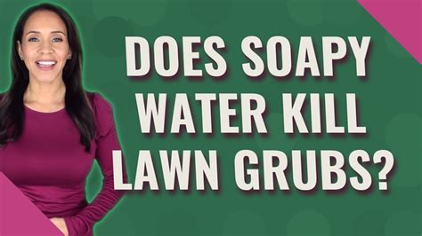 Does soapy water kill lawn grubs? - YouTube