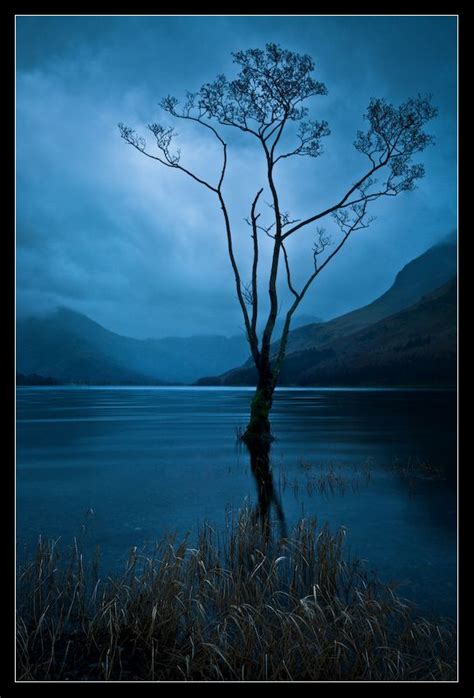 Blue light | Scenery, Beautiful landscapes, Landscape scenery