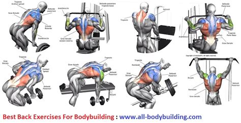 Best Back Exercises For Bodybuilding ~ multiple fitness