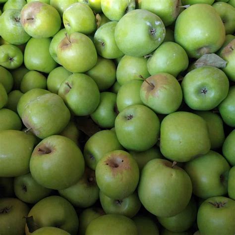 Types of Green Apples - Eat Like No One Else