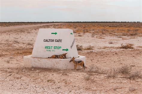 Camping in Etosha - The Orange Backpack