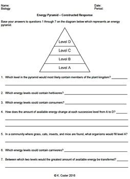 Worksheet - Energy Pyramid - Constructed Response *EDITABLE* | TPT