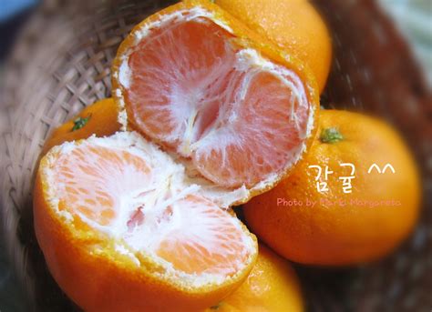 Maria Margareta: 감귤 Jeju-do Tangerine