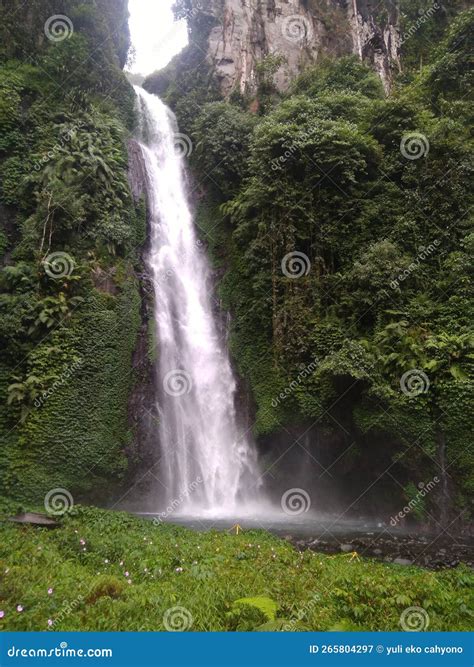 Kali Pedati Waterfall stock image. Image of scenery - 265804297