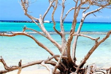 Baby Beach: Aruba Attractions Review - 10Best Experts and Tourist Reviews