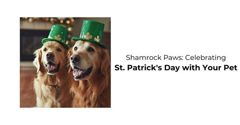 Celebrate St. Patrick's Day with Your Pets: Fun and Safe Ideas – Waggle