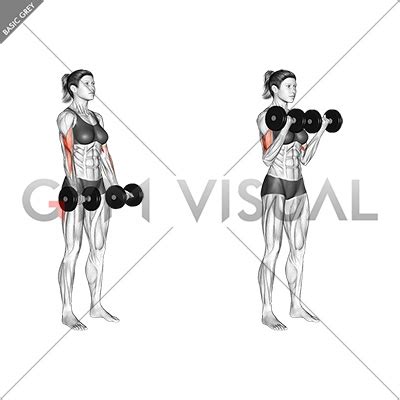 Dumbbell Biceps Curl (female)