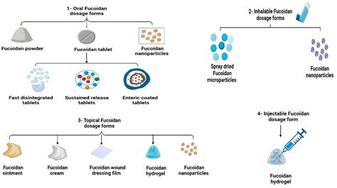 Marine Drugs | Free Full-Text | Fucoidan in Pharmaceutical Formulations: A Comprehensive Review ...