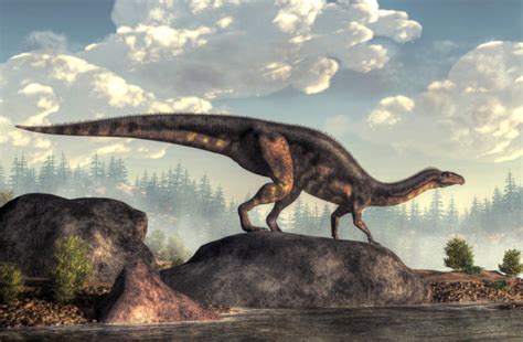 How the Triassic Extinction Helped Dinosaurs Take Over the Planet ...