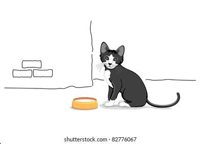 2,541 Cat Milk Bowl Images, Stock Photos & Vectors | Shutterstock