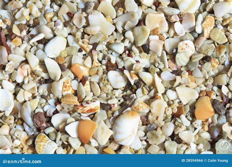 Playa Conchal Shells Background Stock Photo - Image of shells, shore ...