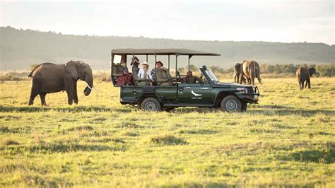 Game Drive Safari in Maasai Mara National Reserve | Kenya Safaris