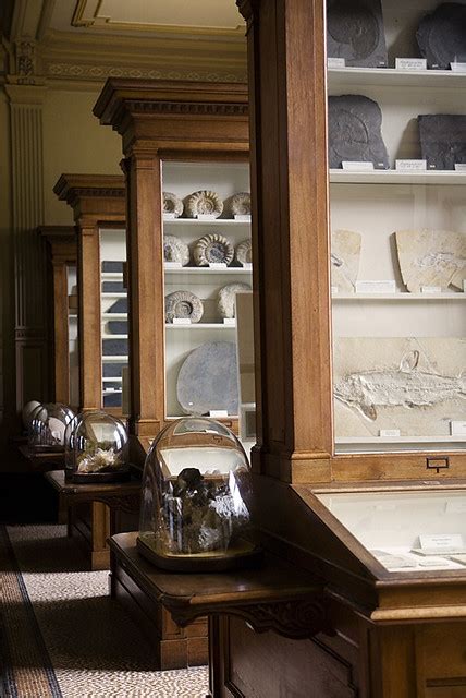 Fossil Room | Photos from Teylers Museum in Haarlem, the Net… | Flickr