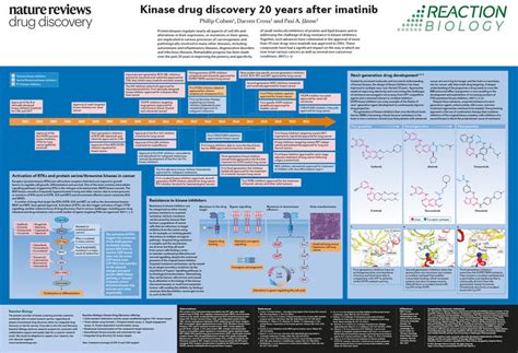 Kinase Assays | Screening Service at Reaction Biology