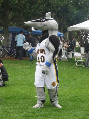 Behold! Our awesomely photogenic mascot, Peter the Anteater! : r/UCI