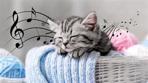 Relaxing Music for Cats, Peaceful Piano Music - YouTube