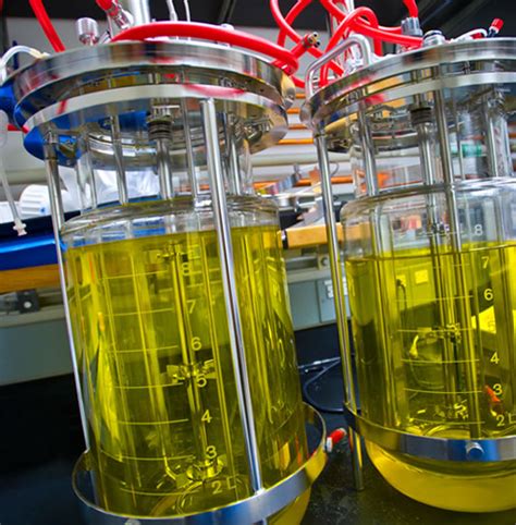 Breakthrough: Using Microbes to Make Advanced Biofuels - jbei.org